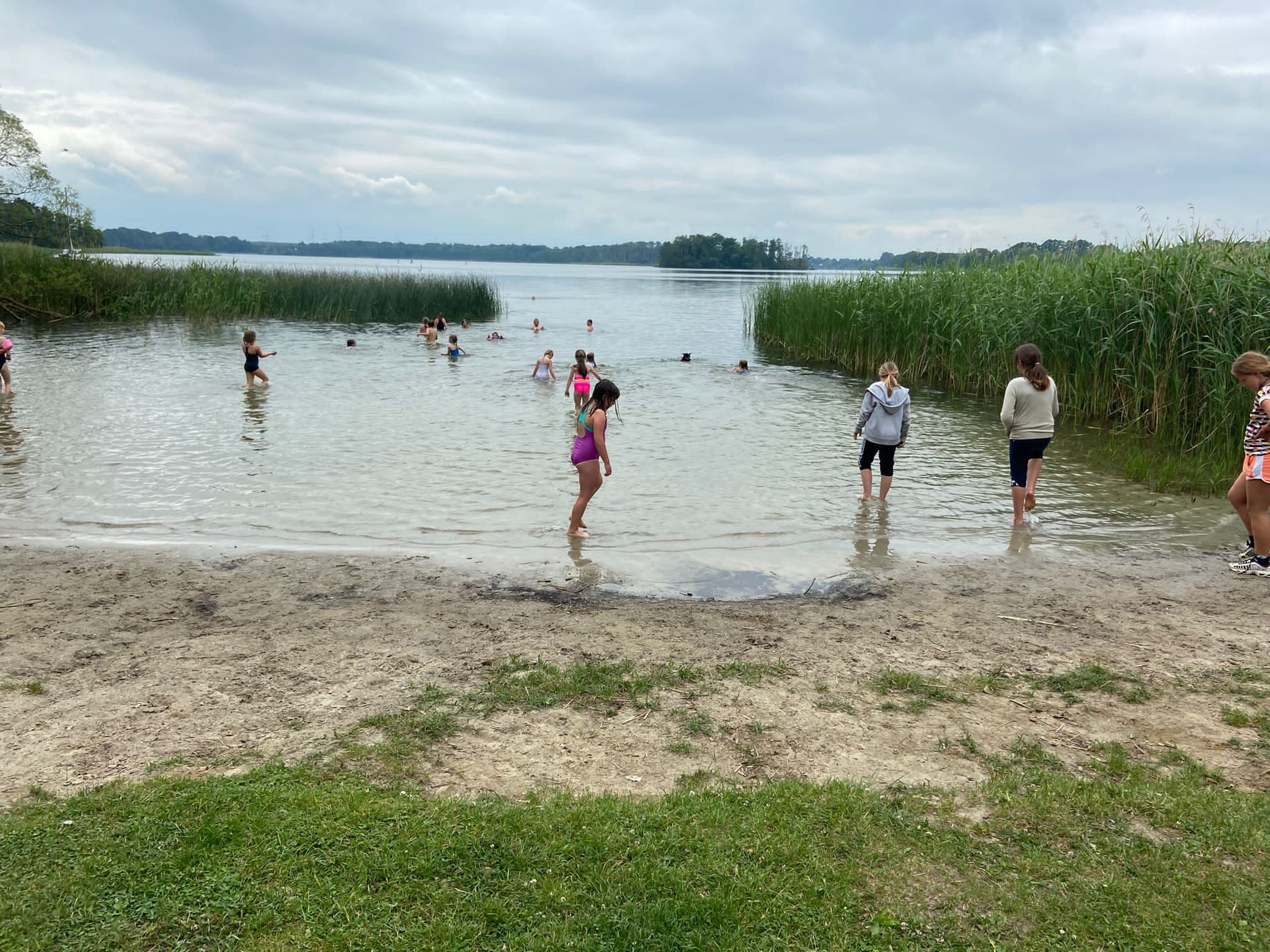 Kinder baden an einem flachen Seeufer mit Schilf