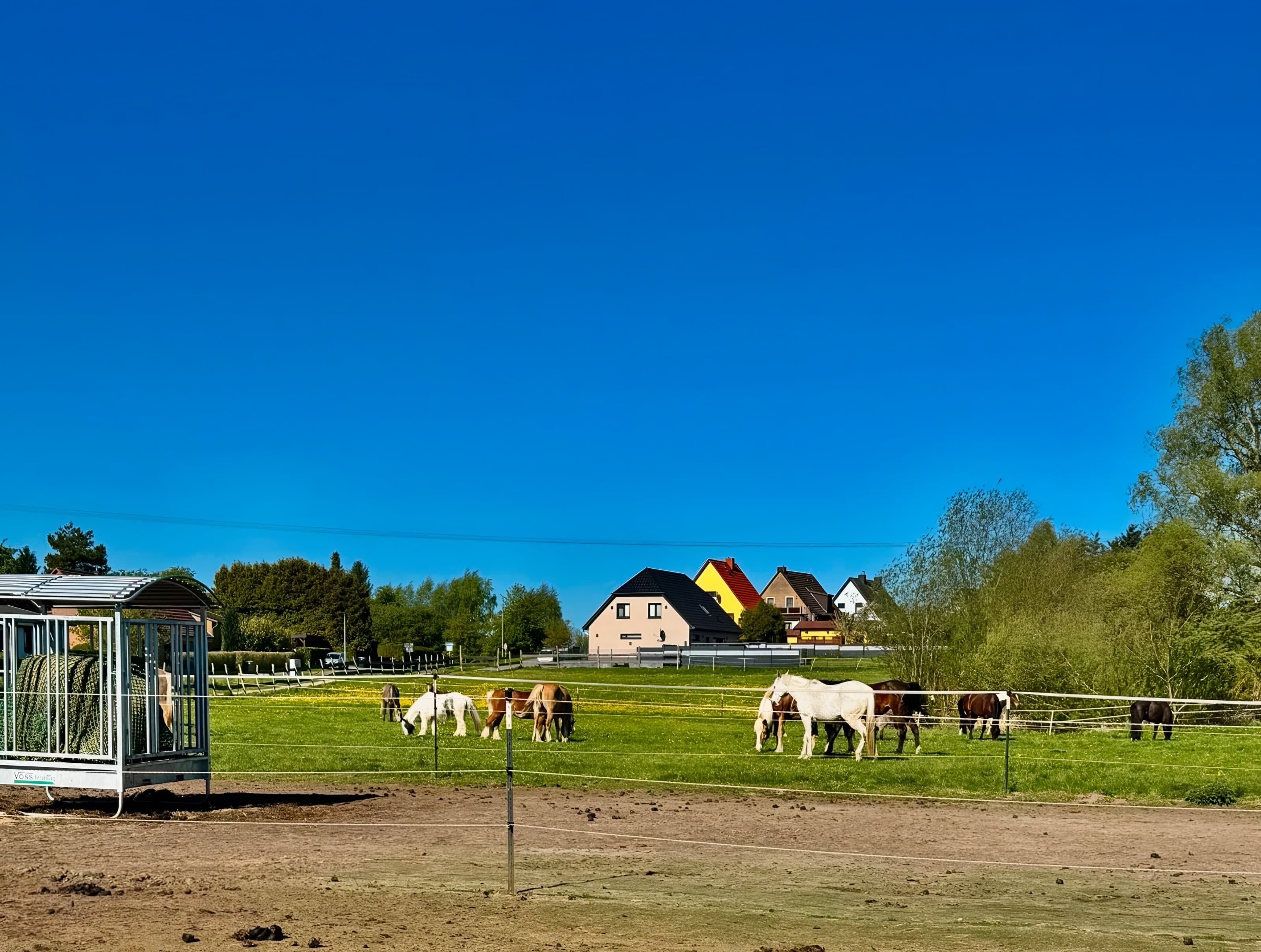 Weiter Paddock unter blauem Himmel, links eine überdachte Heuraufe, dahinter grasen Pferde vor Häusern